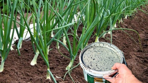 ��� ��������� �������� �������� ������� ��������� ��� ���� � ��������� ����