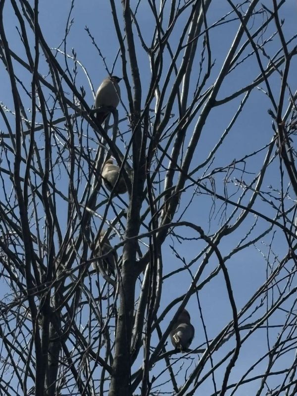 � ������� ��������� ����������