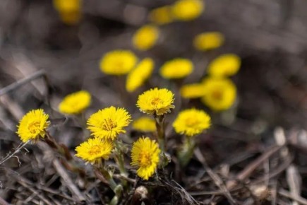 � ������� � �������, 16 � 17 ������, ��� ��������� ����������� ����� � �������� �����������