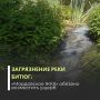 Суды трех инстанций поддержали требования Росприроднадзора за загрязнение реки Битюг