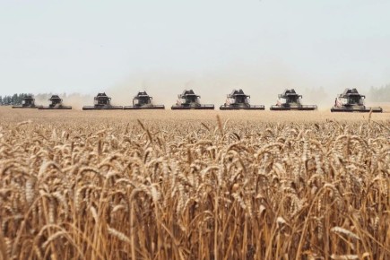 ���� ������: ����������� � ���: ������ �������� ��������