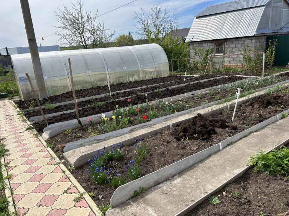 ��� �������� �������� ������������� �����: ��� ����������� ������ �������� �����