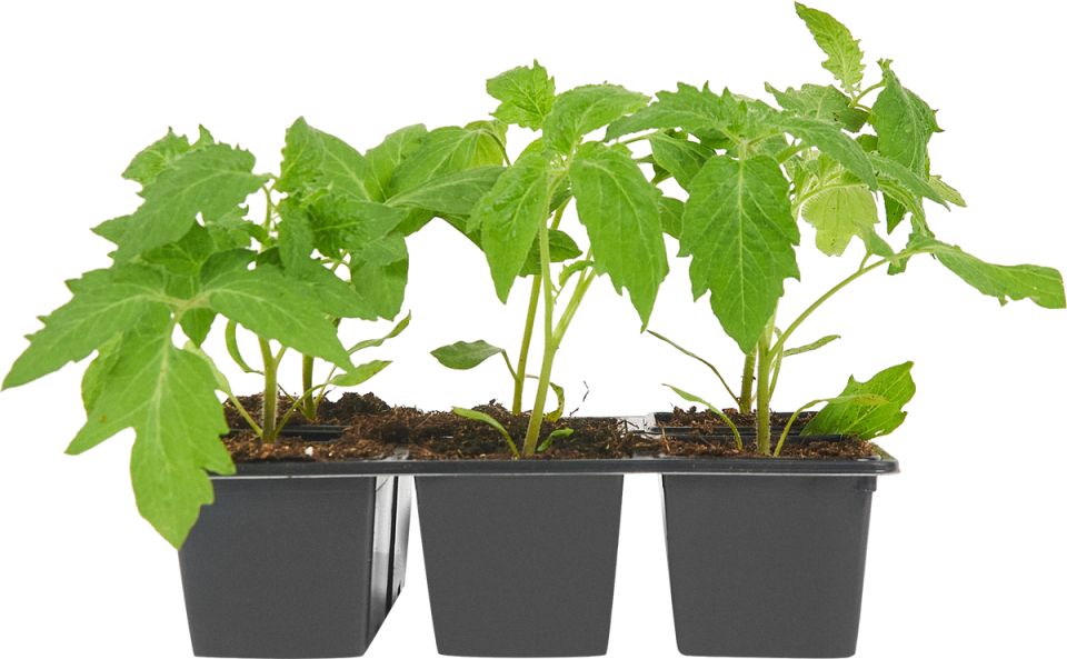 ����������� ����� ������ ������� ��� ������� � ��������� ������ � ������