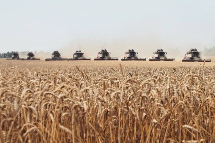 Артём Здунов: Суверенитет в АПК: лучшие практики Мордовии