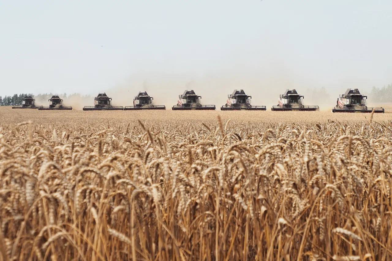 Артём Здунов: Суверенитет в АПК: лучшие практики Мордовии