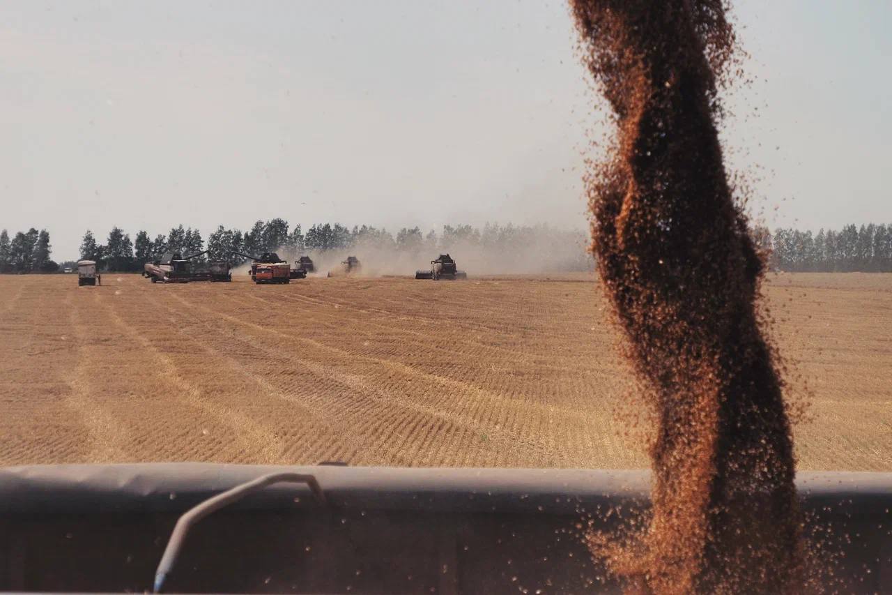 Артём Здунов: Суверенитет в АПК: лучшие практики Мордовии Артём Здунов: Суверенитет в АПК: лучшие практики Мордовии