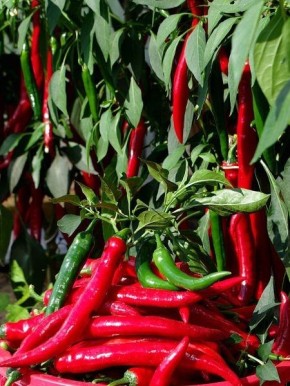 ����������: ���������� ����� � �������� ����������