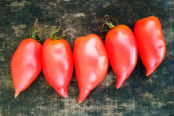 ����������� ���������� �������������� ������: ���� ���� � ������