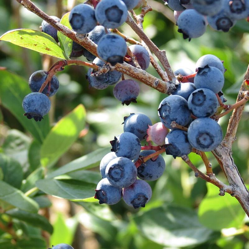 �������� �� �������� �������? �������, ��� ������� � � �����!