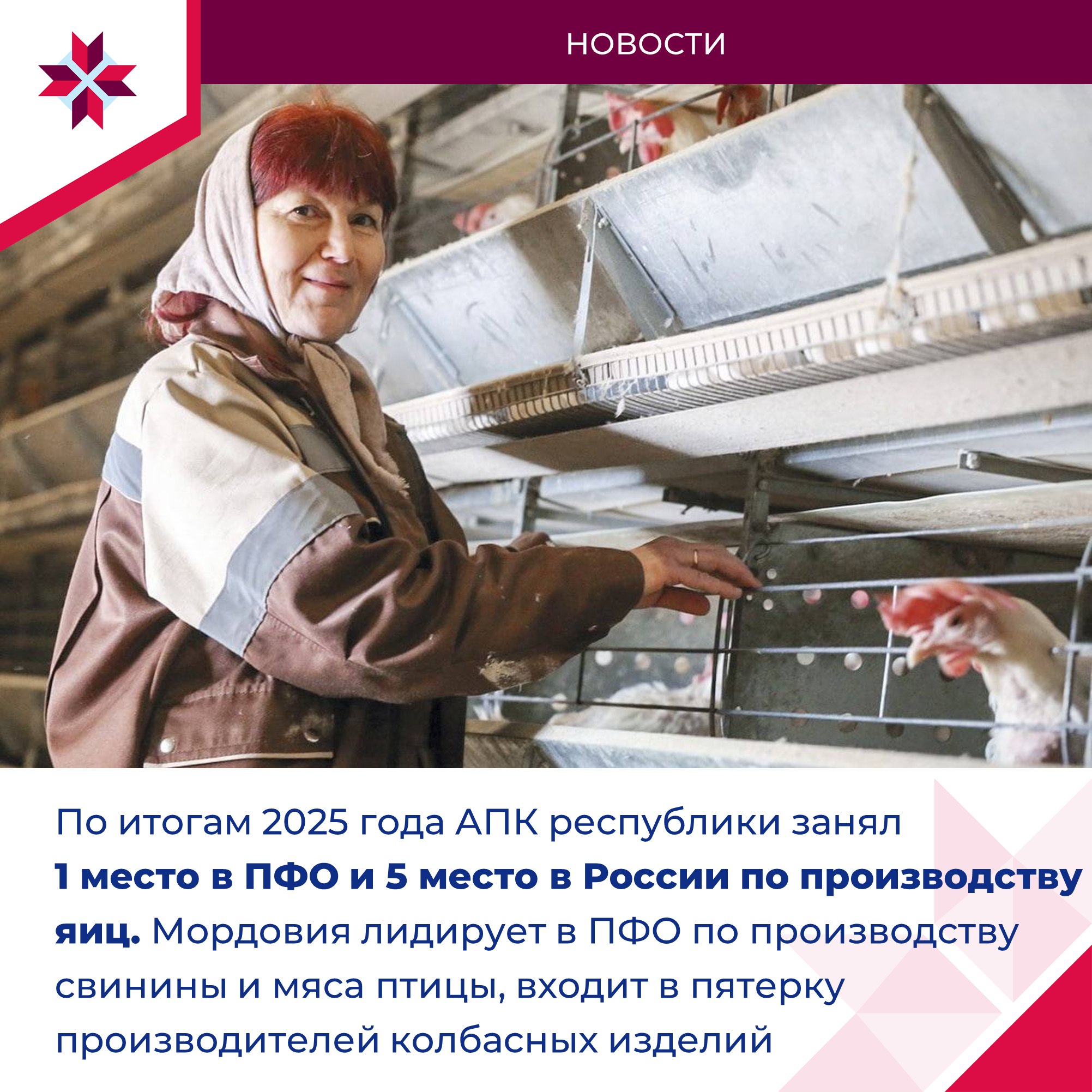 На заседании при Совете Федерации обсудили импортозамещение в сельском хозяйстве На заседании при Совете Федерации обсудили импортозамещение в сельском хозяйстве