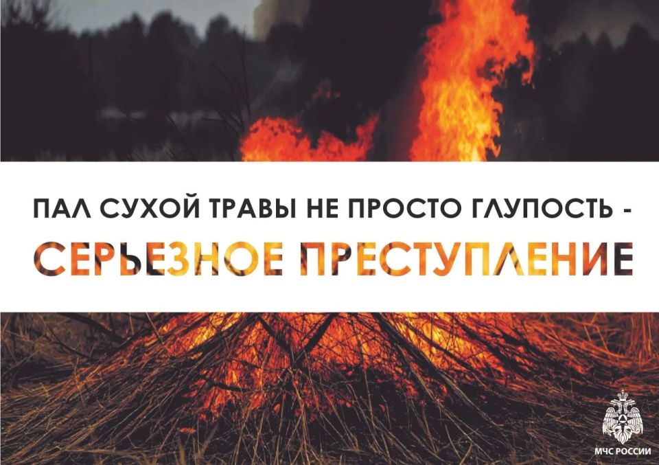 � ������ 2026 ���� � ���������� ���������������� 4 ������ ��������� � ����� ����� ��������������