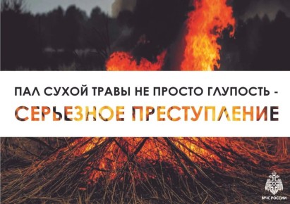 С начала 2026 года в республике зарегистрировано 4 случая связанных с палом сухой растительности