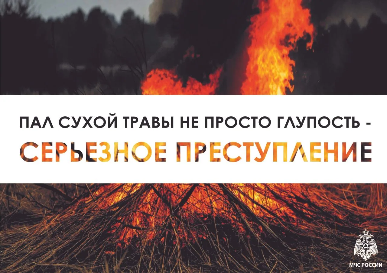 С начала 2026 года в республике зарегистрировано 4 случая связанных с палом сухой растительности