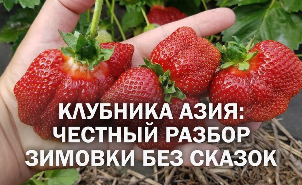 �������� ����: ������� ��������� � ������� ����