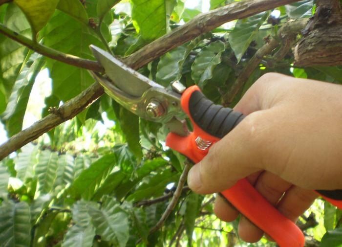 ����� ����� ��������� ������� �������� � �����������: ������ ���������