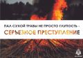 С начала 2026 года в республике зарегистрировано 4 случая связанных с палом сухой растительности