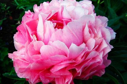 ���� ������: ���������� �������� ��� ������ ����