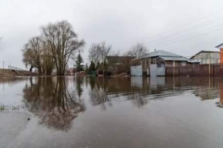 37 ������������ ��������, 7 ����������� ������ � 7 �������� ������������� ����� �������� ������������� ����������� ������ � ��������