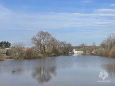 �� ����� �������� ����������� ���� ������ ����