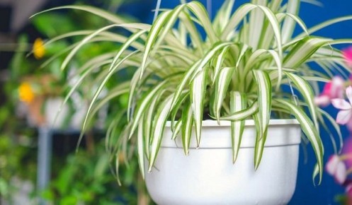 ��� ������ �������� ����� �������� ������ � ����� ���� � �������� �����������