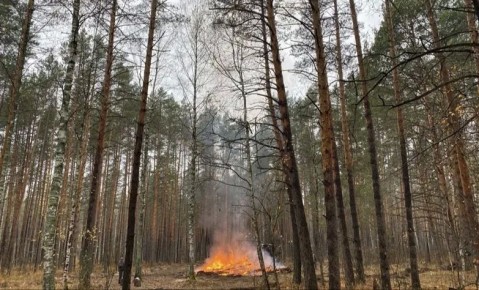 � 15 ������ � �������� ������ ������ ��������������� ����� �� ������ ������� �����