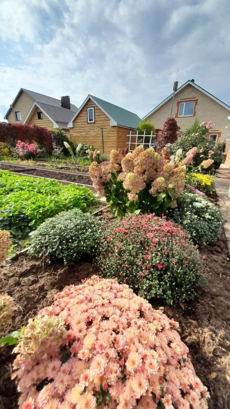 ��� ��������� �������� ����� ������: ������� ��������� ������