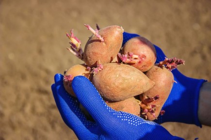 ������ �� ������������ ���������: ��� �������� ���������������� ������