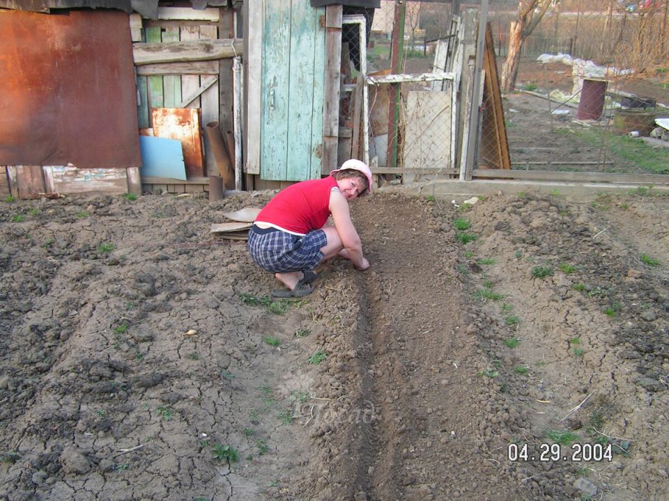 ������� �������� ��������: ��� �������� ����� ��� ����������� ������ �����