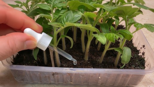 ��� ��������� ������� ������� �������: 6 ����������� �������