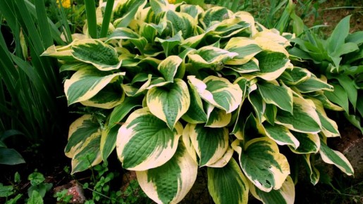 �������� ������ ������ ����: 20 ������������� ��� �������� �������� ������