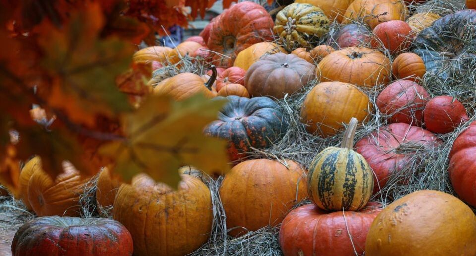 ��������� ����: ��� ������������� ������� �������� ��-������