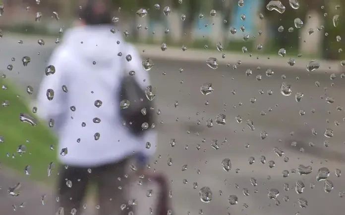 � ������ ����� ������� ������ � ���������� ������� ����������