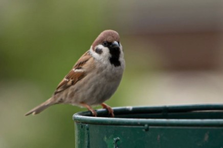 � ��� ��� ���������� � ���� ���� ����������? � ���-�� ������, ������, ������, ���������