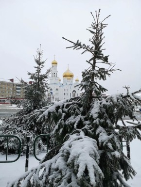 20 ������ � ��������������� ������� � �������� ����������