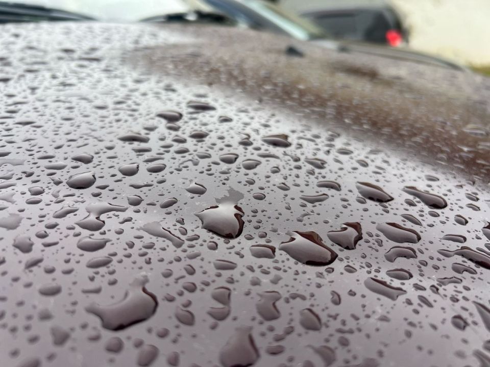 ������� ����� �� ������������ ��������� ����� �� �����