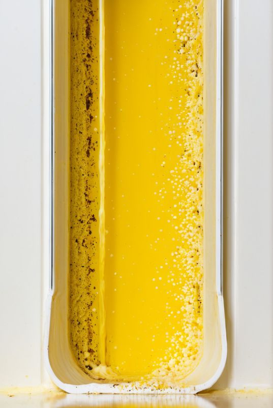 ����������� ����: ������ ����� ������ �����������