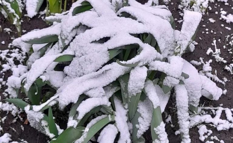 ����������� �������� ����. ��� ������� ���������, ������� ������� ���� ����� �������� ��� � ������ ������