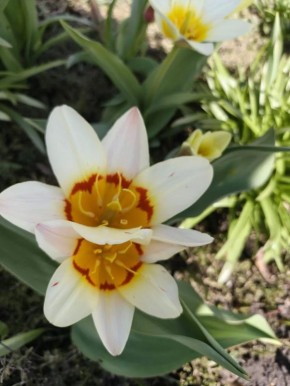 ������ ����, �����! �������� �� ������, �������� ������� ������ ����� ����� �� �����, ��� ���� ������