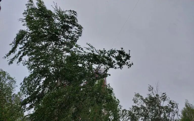 23 ������ ���� � �������� ��������� ������� ����� � �������� �� 17 ������ � �������