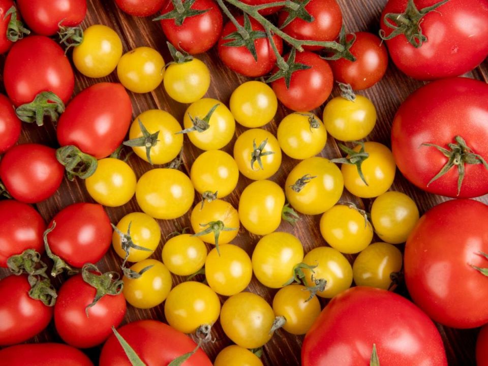 ������, ������� ������� ����: ������� ��������� �� ����� �������