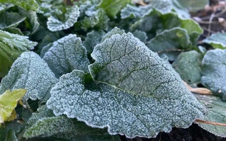 � �������� ���������� ����������� �������� ������ � ��� �������� ������