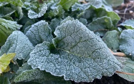 � �������� ���������� ����������� �������� ������ � ��� �������� ������