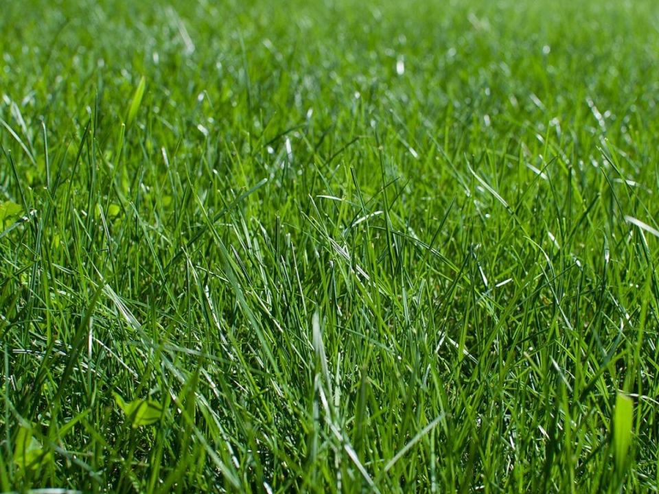 ��� ������� ���� �� ������� ������� �������� ������� �����