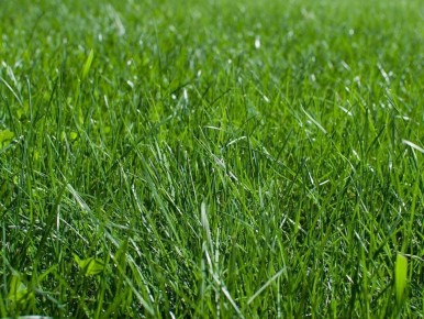 ��� ������� ���� �� ������� ������� �������� ������� �����