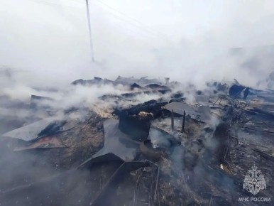 ����� � ������������ ������ �������� ��������� � �������� ������� ����������� �� ����� �������