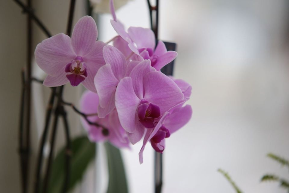 ������ ����� ������� ������� ��� � ���, ��� �� ����� ��-���� �����! ����� ���������, ��� ������ ����� �������, � ������ ������� � ���� �����!