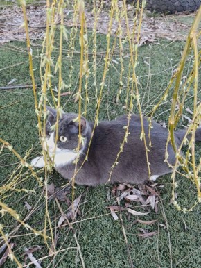 ������� - ��� ����� �� ��� �� ������, � ������ ��� �� ����� �������