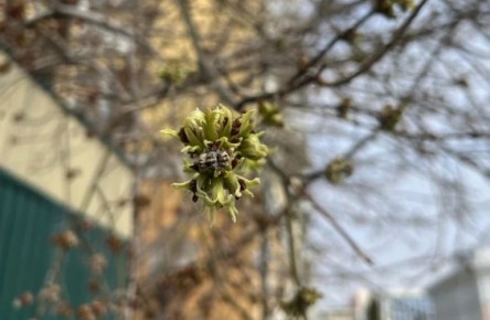 � ��������� ����� � �������� ��������� �������� ������, � ����� � ���� � ���������� ����������� �������� ���������� � �������� ������