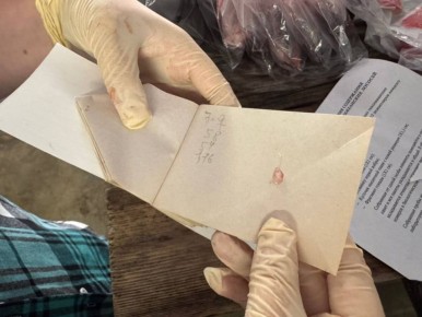 ����������� ������������ �������� ��������� ������������ ��������� � �������