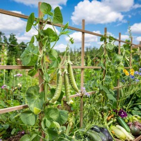 ����������� � �������: ������� ����� ������, ������� ����� ����� ��������